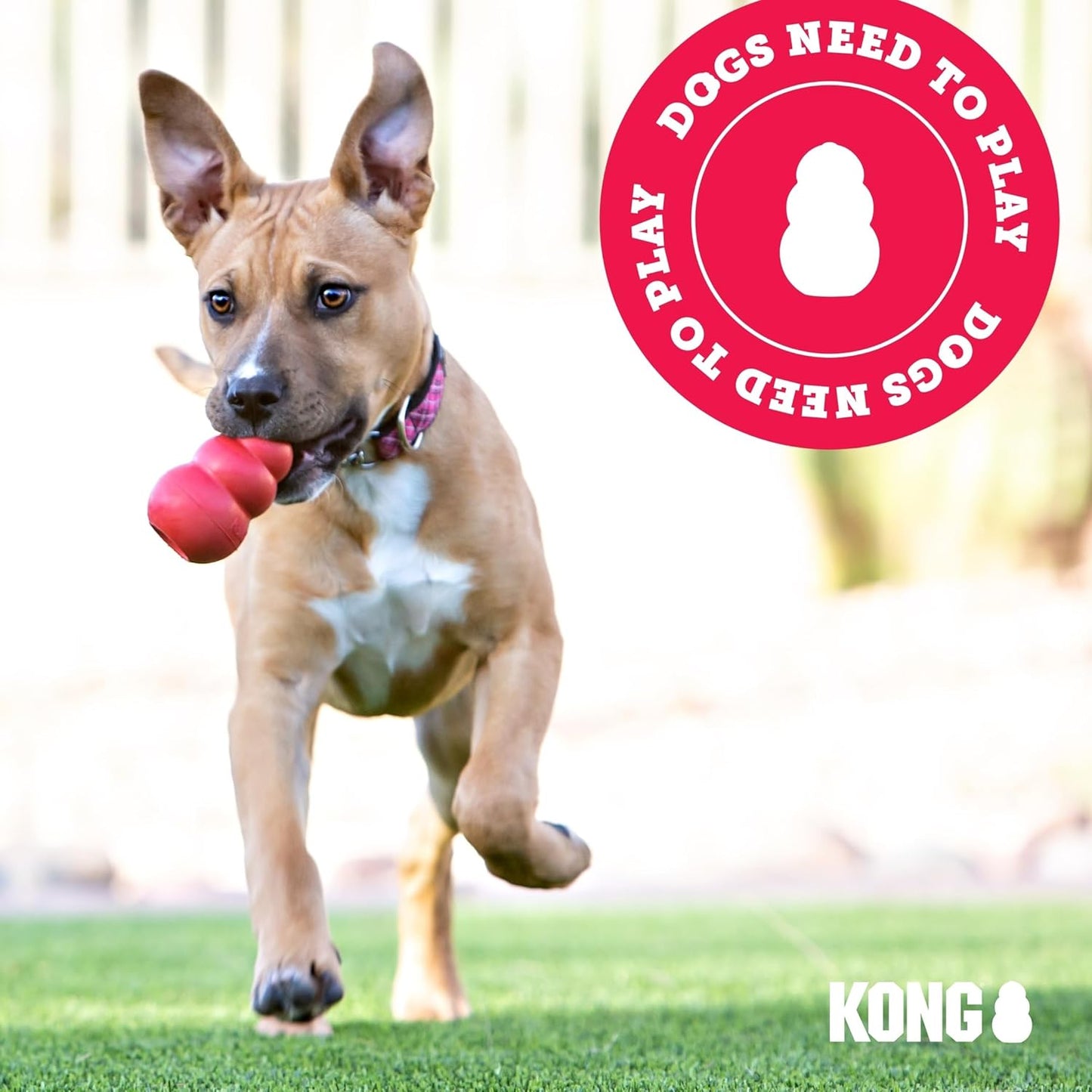 KONG Ziggies Puppy Teeth Cleaning Dog Treats Small
