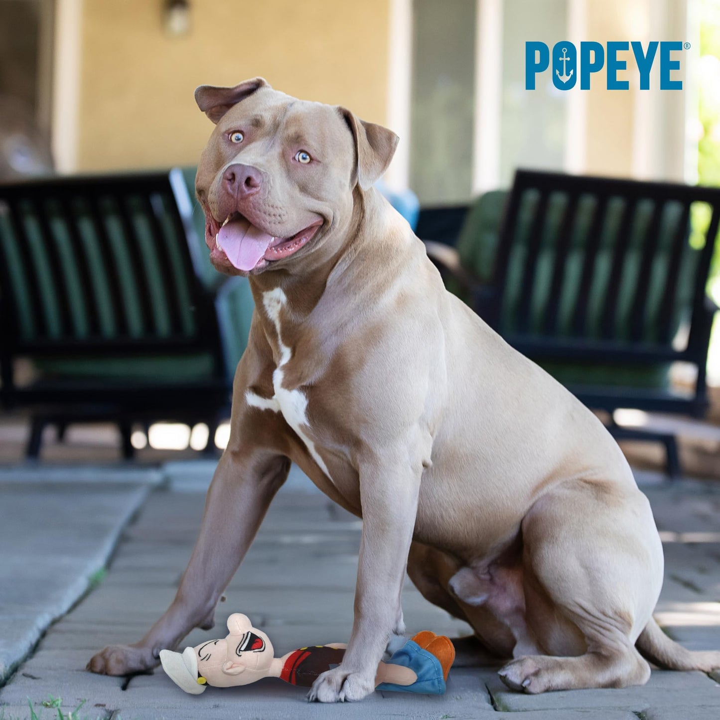 Multipet Popeye Dog Plush Toy - Toys for Dogs All Age - Extra Soft Plush Dog Toy - Toy for Cuddling & Playing