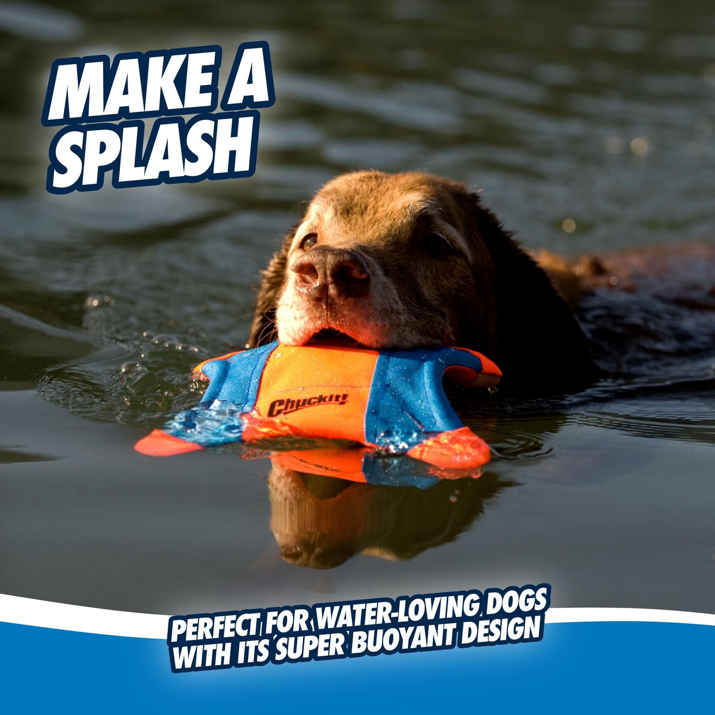 Chuckit! Flying Squirrel Dog Toy Large – Durable Floating Fetch Disc for Medium & Large Dogs