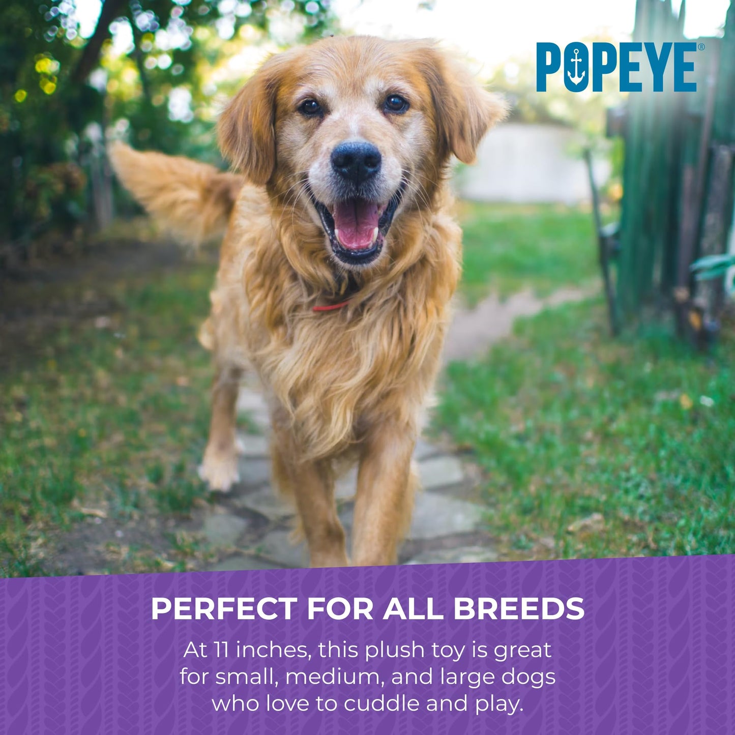 Multipet Popeye Dog Plush Toy - Toys for Dogs All Age - Extra Soft Plush Dog Toy - Toy for Cuddling & Playing