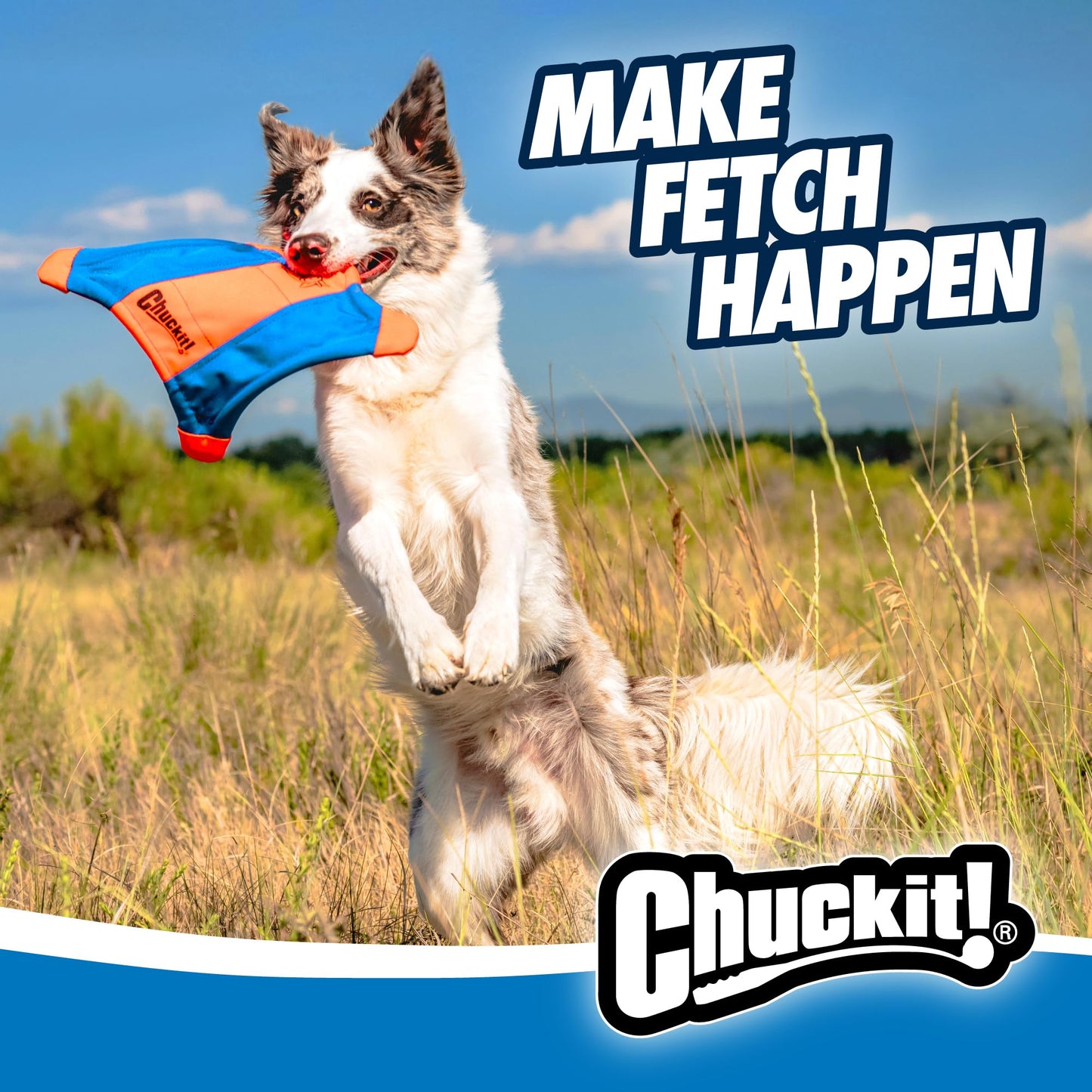 Chuckit! Flying Squirrel Dog Toy Large – Durable Floating Fetch Disc for Medium & Large Dogs