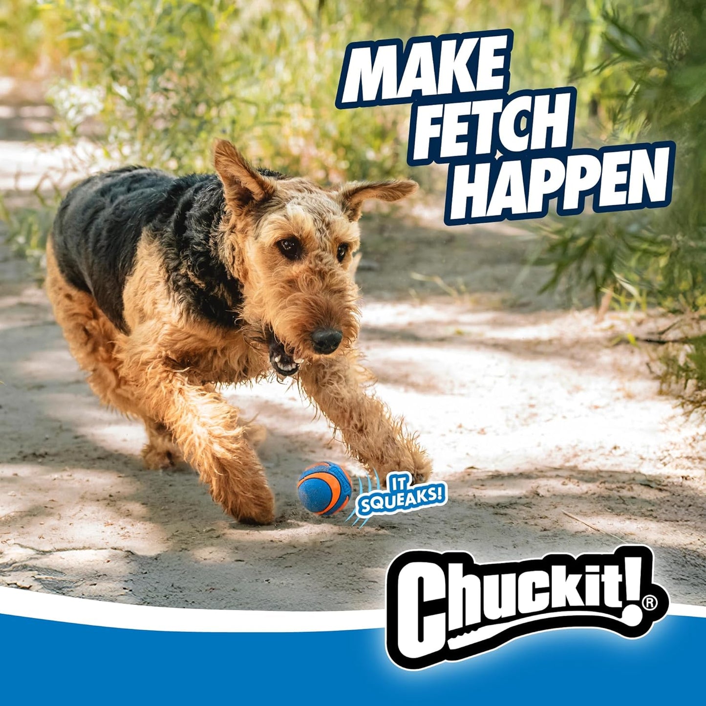 Chuckit! Ultra Squeaker Balls for Dogs – Pack of 2 Medium Floating Fetch Balls