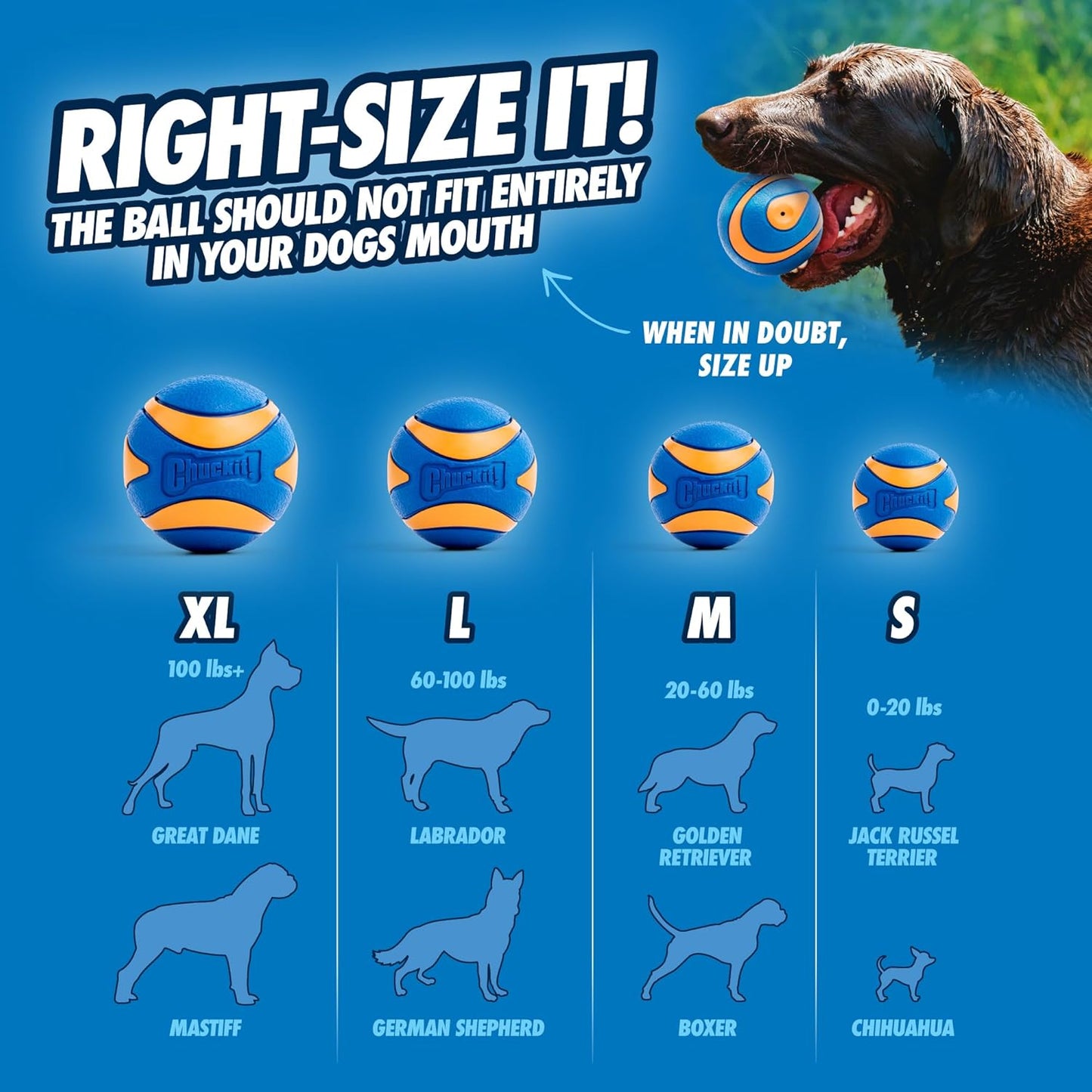 Chuckit! Ultra Squeaker Balls for Dogs – Pack of 2 Medium Floating Fetch Balls