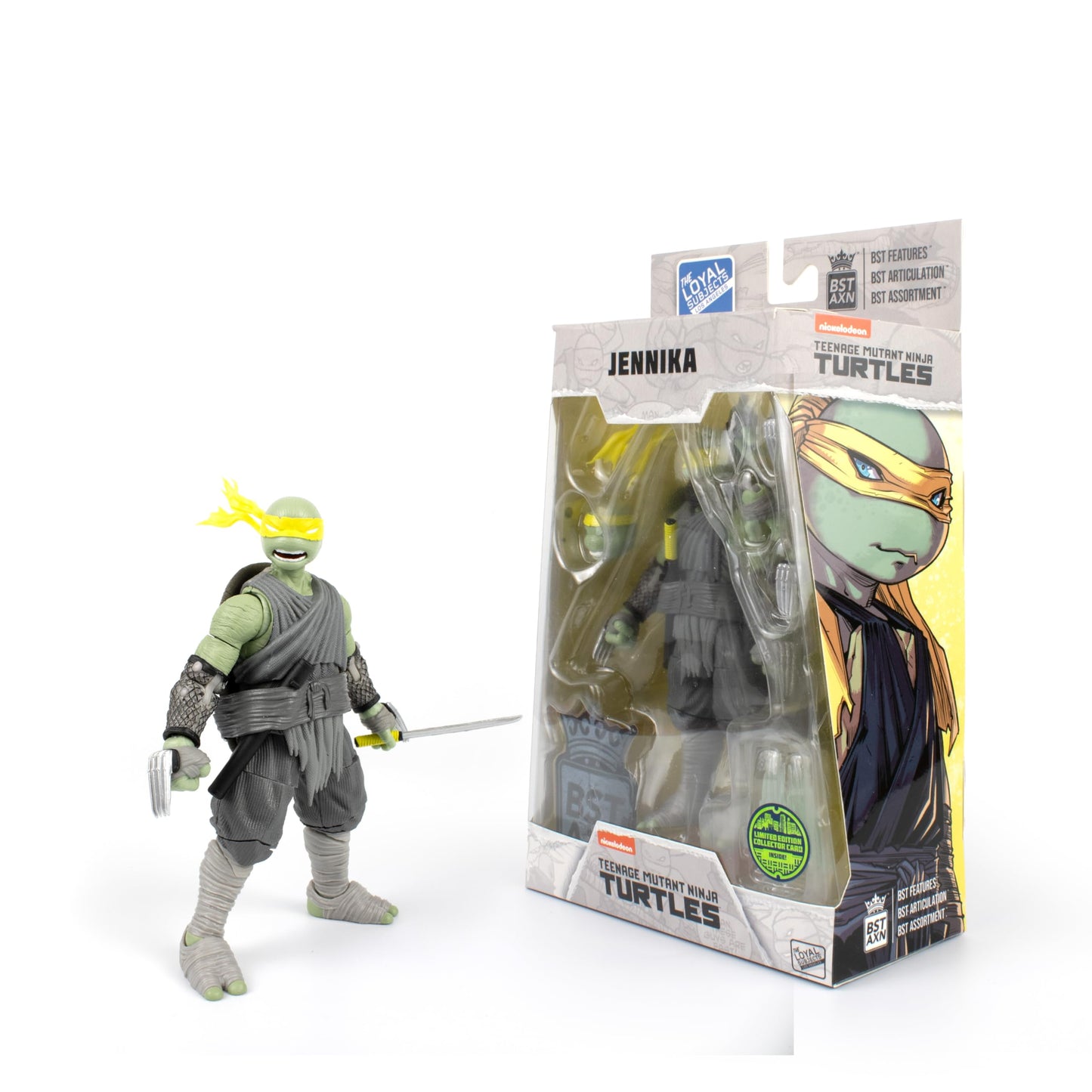 Teenage Mutant Ninja Turtles BST AXN IDW Inspired