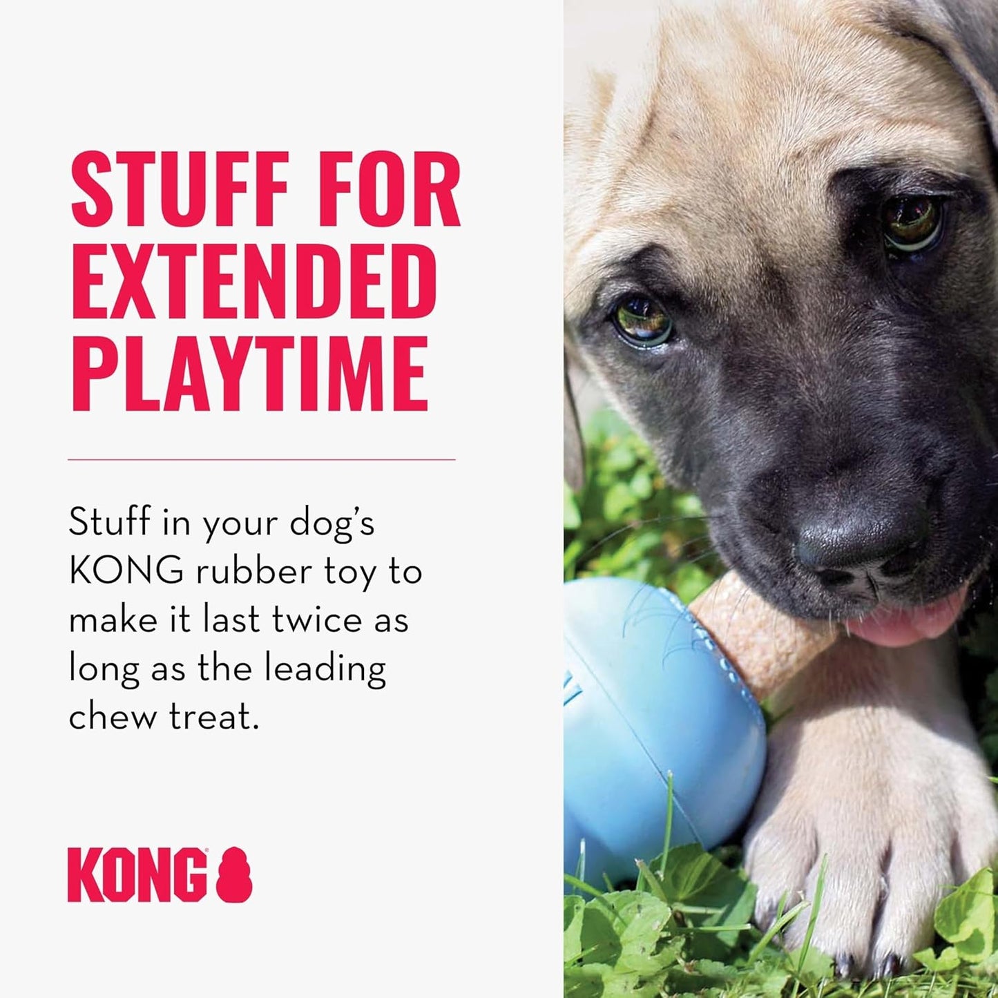 KONG Ziggies Puppy Teeth Cleaning Dog Treats Small